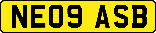 NE09ASB