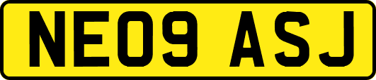 NE09ASJ
