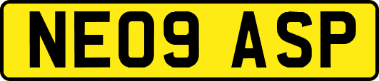 NE09ASP