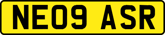 NE09ASR