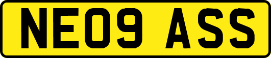NE09ASS