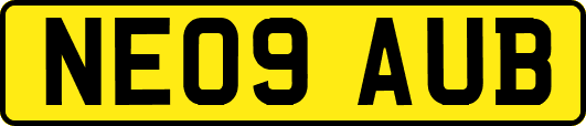 NE09AUB
