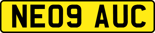 NE09AUC