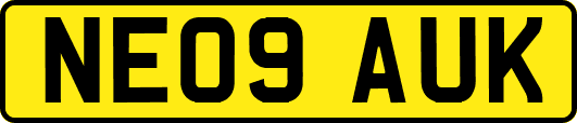 NE09AUK