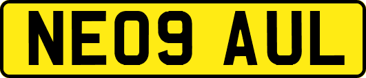 NE09AUL