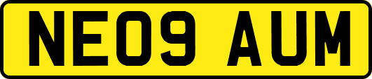 NE09AUM