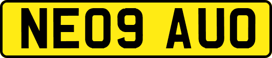 NE09AUO