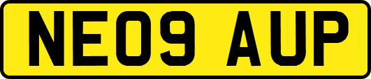 NE09AUP
