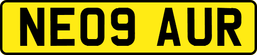 NE09AUR