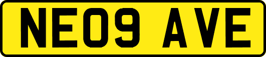 NE09AVE