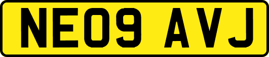 NE09AVJ