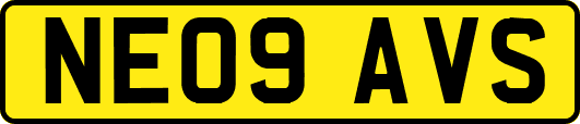 NE09AVS