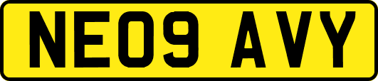 NE09AVY