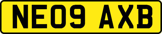NE09AXB