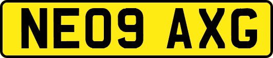 NE09AXG