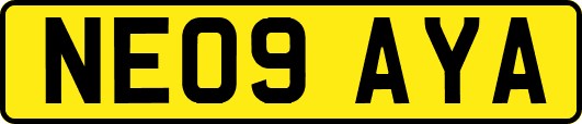 NE09AYA