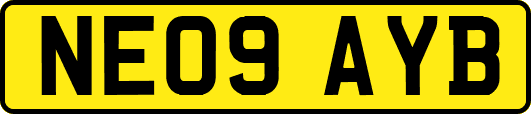 NE09AYB