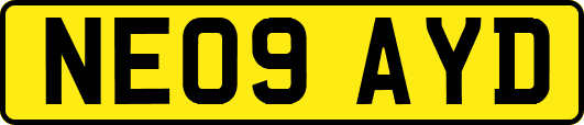 NE09AYD