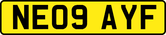 NE09AYF