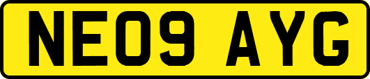 NE09AYG