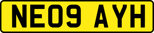 NE09AYH