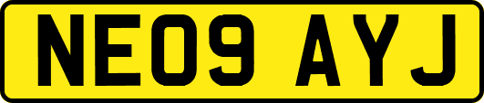 NE09AYJ