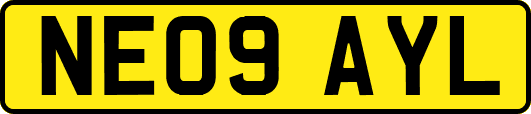 NE09AYL