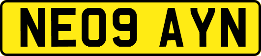 NE09AYN