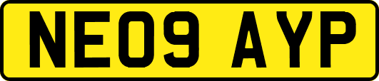 NE09AYP