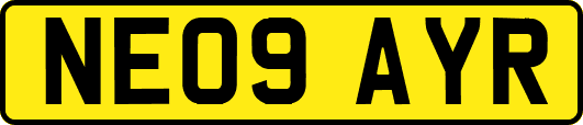 NE09AYR