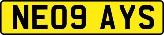 NE09AYS