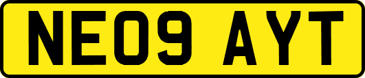 NE09AYT