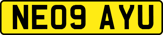 NE09AYU