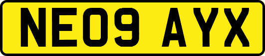 NE09AYX
