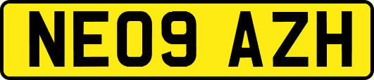 NE09AZH