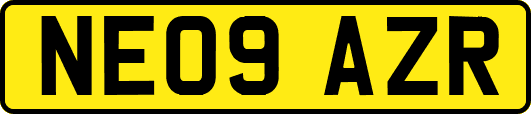 NE09AZR