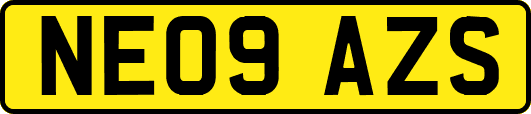 NE09AZS