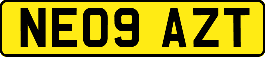 NE09AZT