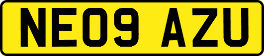 NE09AZU