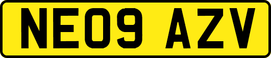 NE09AZV
