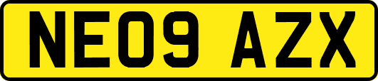 NE09AZX