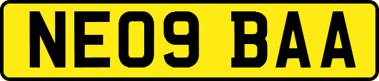 NE09BAA
