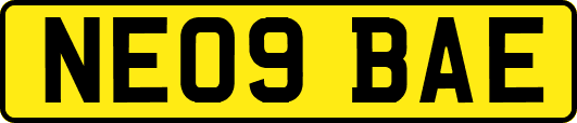 NE09BAE
