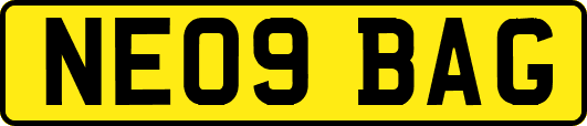 NE09BAG