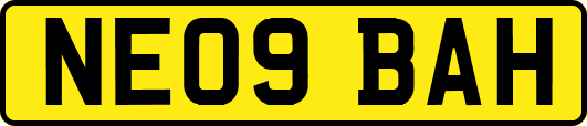 NE09BAH