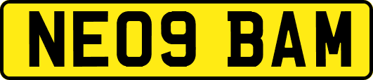 NE09BAM