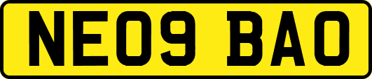 NE09BAO