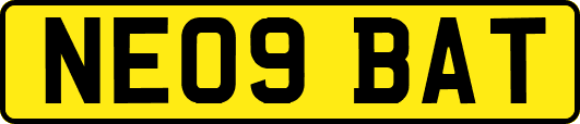 NE09BAT