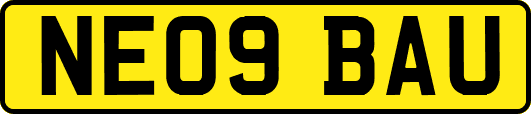 NE09BAU