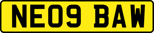 NE09BAW